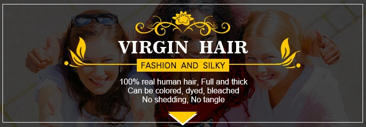 Hot Selling Wholesale Free Shipping Cuticle Aligned Unprocessed Brazilian Hair Virgin Human Hair Lace Wigs