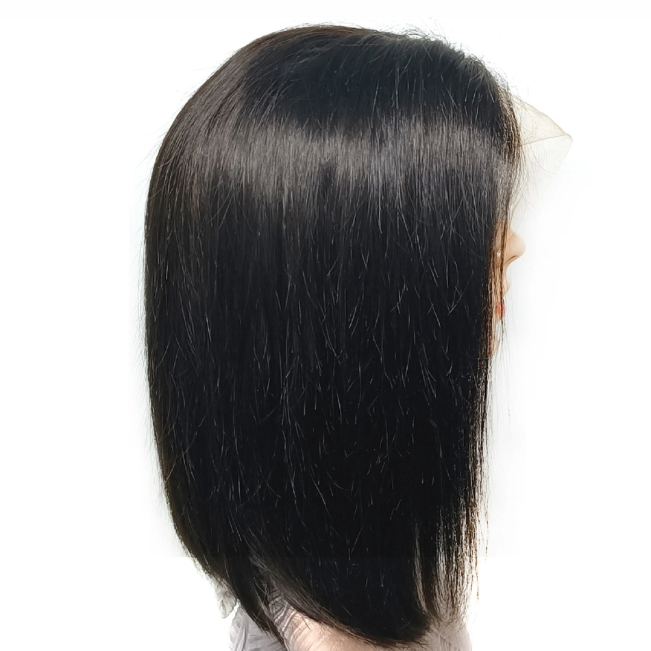 Wholesale Price Cuticle Aligned Brazilian Sdd Virgin Human Hair Lace Front Wig 10inch